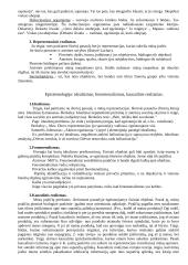 Filosofijos atsiradimas 9 puslapis