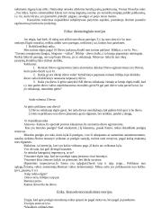 Filosofijos atsiradimas 10 puslapis