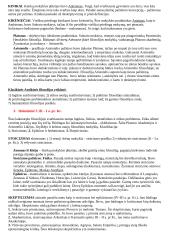 Pagrindinės filosofijos įvado temos 2 puslapis