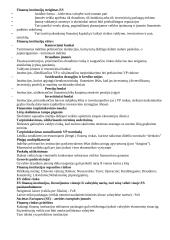 Finansų rinkos svarba 2 puslapis