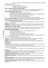 Finansų rinkos svarba 3 puslapis