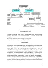 Viskas apie finansų sistemą 2 puslapis