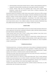 Viskas apie finansų sistemą 4 puslapis