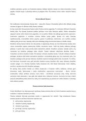 Viskas apie finansų sistemą 5 puslapis