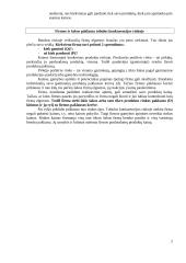 Firmos pusiausvyra tobulos konkurencijos rinkoje 2 puslapis