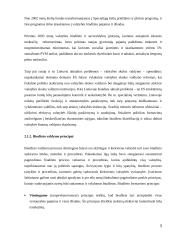 Fiskalinės politikos ypatumai Lietuvoje 3 puslapis