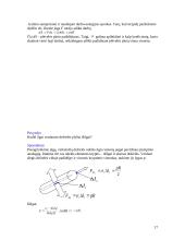 Mikro ir makro būsenos 17 puslapis