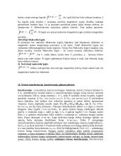 Elektrinio lauko cirkuliacija  14 puslapis