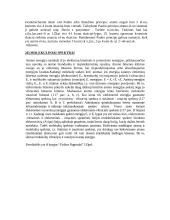 Elektrinio lauko cirkuliacija  20 puslapis