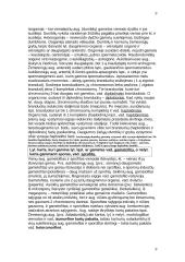 Fotosintezės teorija 9 puslapis