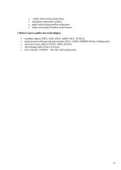 Geografinių informacinių sistemų programinė įranga 13 puslapis