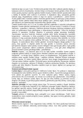 Moteriškoji lytinė sistema 2 puslapis