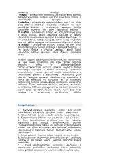 Moteriškoji lytinė sistema 11 puslapis