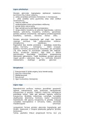 Moteriškoji lytinė sistema 16 puslapis