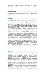 Moteriškoji lytinė sistema 17 puslapis