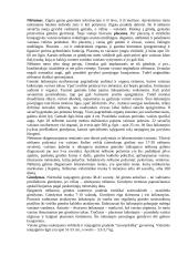 Moteriškoji lytinė sistema 4 puslapis