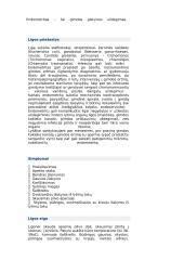 Moteriškoji lytinė sistema 5 puslapis