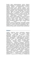 Moteriškoji lytinė sistema 7 puslapis