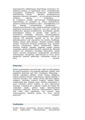 Moteriškoji lytinė sistema 8 puslapis