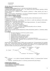 Hematologija 11 puslapis