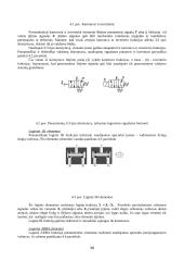 Hidraulika ir pneumatika 2 puslapis