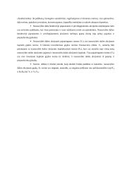 Hipoteka ir skolos 13 puslapis