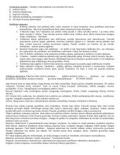 Išsami hodegetikos teorija 2 puslapis