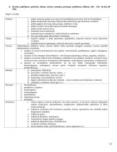 Išsami hodegetikos teorija 14 puslapis