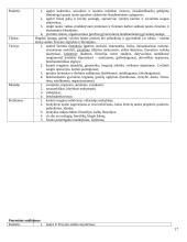 Išsami hodegetikos teorija 17 puslapis