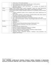 Išsami hodegetikos teorija 18 puslapis