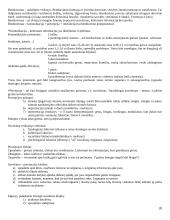 Išsami hodegetikos teorija 20 puslapis