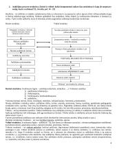 Išsami hodegetikos teorija 4 puslapis