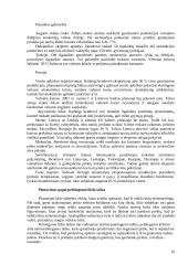 Ilgalaikio turto apyvartumas 10 puslapis