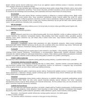 Įmonės finansai 2 puslapis