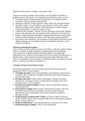 Firmos strategijos kūrimas 2 puslapis