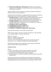 Firmos strategijos kūrimas 3 puslapis