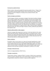 Firmos strategijos kūrimas 4 puslapis