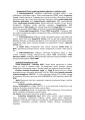 Informatikos raida 2 puslapis