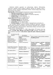 Informatikos raida 4 puslapis