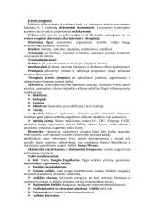 Informatikos raida 5 puslapis