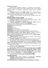 Informatikos raida 6 puslapis