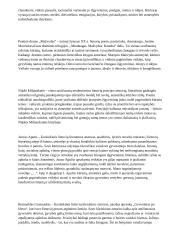 Interpretacijų įžangos 3 puslapis