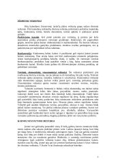 Kainodaros pagrindai marketingo teorijoje 5 puslapis