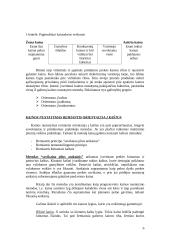 Kainodaros pagrindai marketingo teorijoje 6 puslapis