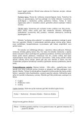 Kainodaros pagrindai marketingo teorijoje 7 puslapis