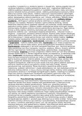 Kartografijos teorija 3 puslapis