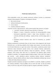 Klasės valandėlės planas-konspektas: prostitucija 13 puslapis
