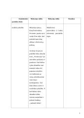 Klasės valandėlės planas-konspektas: prostitucija 3 puslapis