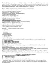 Komercijos vadyba 2 puslapis