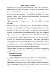 Komerciniai bankai ir jų rizikos valdymas 2 puslapis